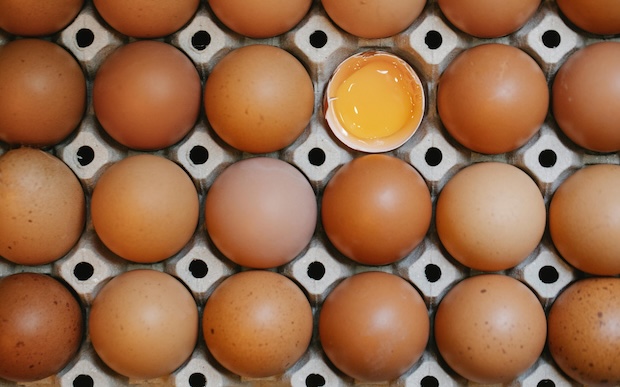 Alimentación saludable: 5 mitos y&nbsp;verdades